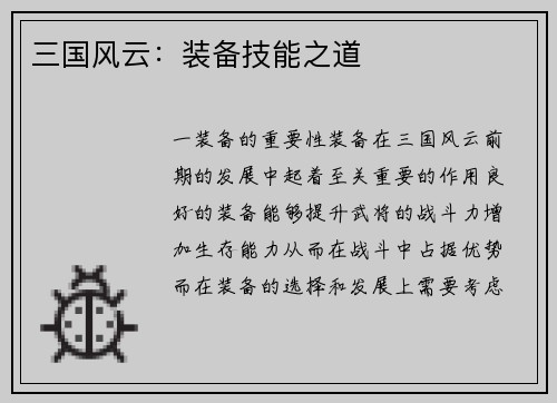 三国风云：装备技能之道
